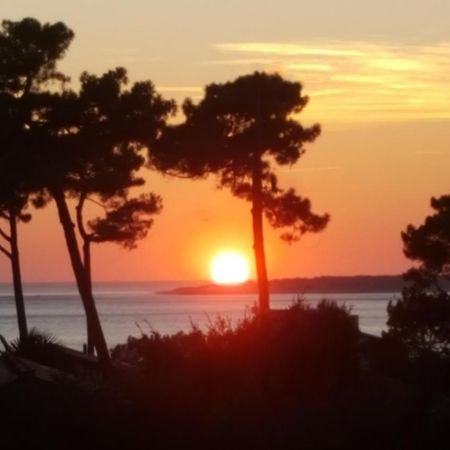 Chambre D'Hotes Pyla Sur Mer La Teste-de-Buch Bagian luar foto