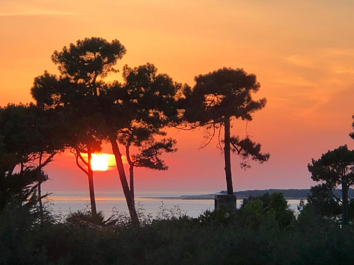 Chambre D'Hotes Pyla Sur Mer La Teste-de-Buch Bagian luar foto