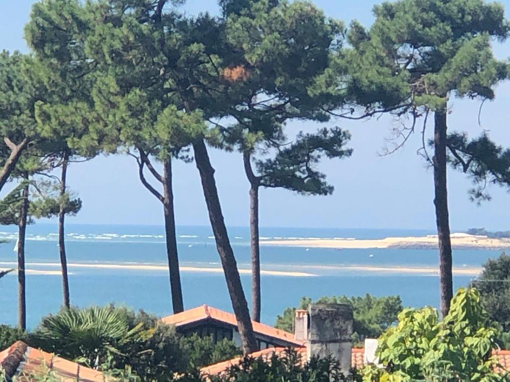 Chambre D'Hotes Pyla Sur Mer La Teste-de-Buch Bagian luar foto